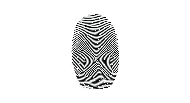 Detailed monochrome illustration presents a singular human fingerprint pattern, characterized by concentric ridges and loops on a pristine white background.
