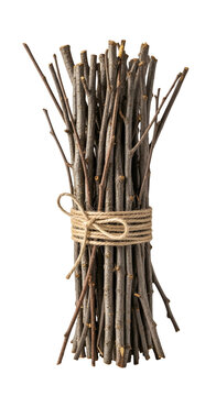 Bundle of Dry Twigs Tied with Twine Isolated Realistic Photo