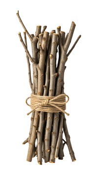 Bundled Twigs with Twine Isolated on White