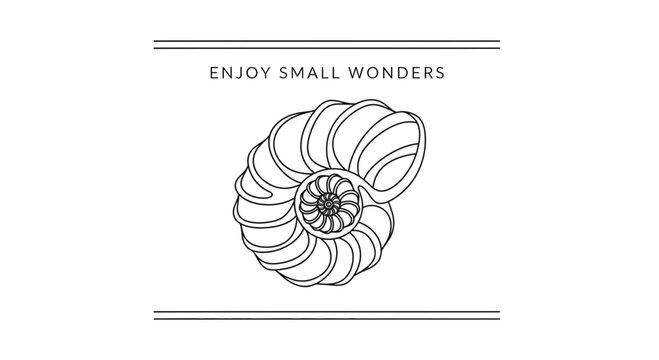 Nautilus Shell Illustration with Inspirational Quote "Enjoy Small Wonders"