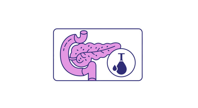 Pancreas and Duodenum Anatomy with Enzyme Secretion Icon