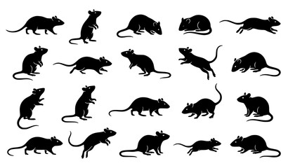 Obraz premium Minimal small rat silhouette icon collection with black rodent vectors