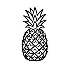 Obraz premium pineapple vector illustration