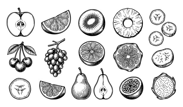 Hand drawn black and white fruit doodle vector set with tropical fruits and sliced illustrations