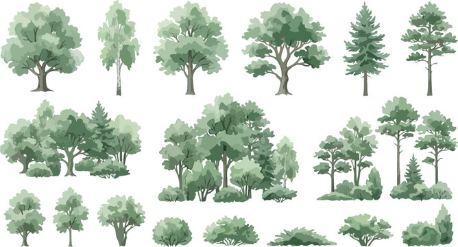 Watercolor style green tree collection, set of 18 forest plant elements and bushes, flat vector deciduous and coniferous trees for landscape design