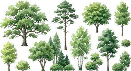 Obraz premium Watercolor green trees collection, set of 15 realistic forest vegetation elements, botanical garden plants and shrubs vector illustrations on white background