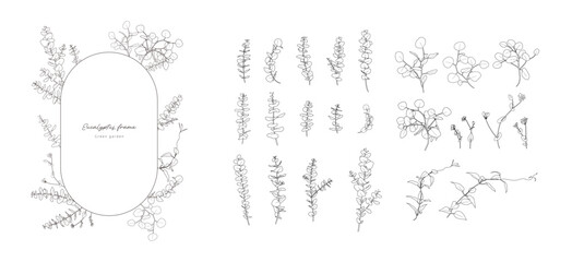Elegant hand drawn eucalyptus and botanical line art frame and element vector set © Kikumio
