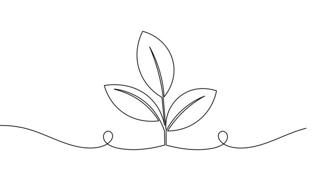 Leaves icon sign continuous one line drawing on white background minimalist economy development natural farm symbol 4k animation video