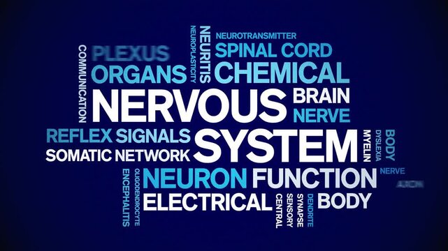 Nervous System animated word cloud-text design animation tag kinetic typography seamless loop.