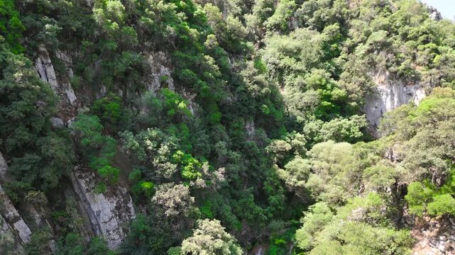 Aerial Drone View of Polylimnio Canyon with Lush Forest, Rocky Gorge and Hidden Waterfall in Peloponnese Greece