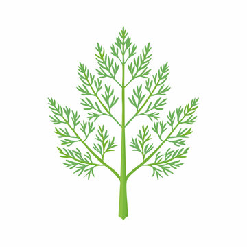 Green Dill Leaf Illustration