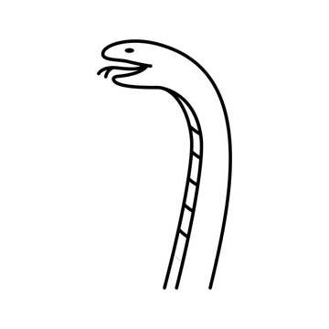 King cobra line icon vector illustration design. Editable stroke.
