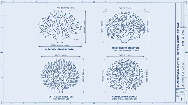 Technical Schematic of Coral Branches: Bleached, Calcified, Lattice, and Complex.