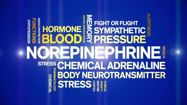 Norepinephrine animated word cloud-text design animation tag kinetic typography seamless loop.