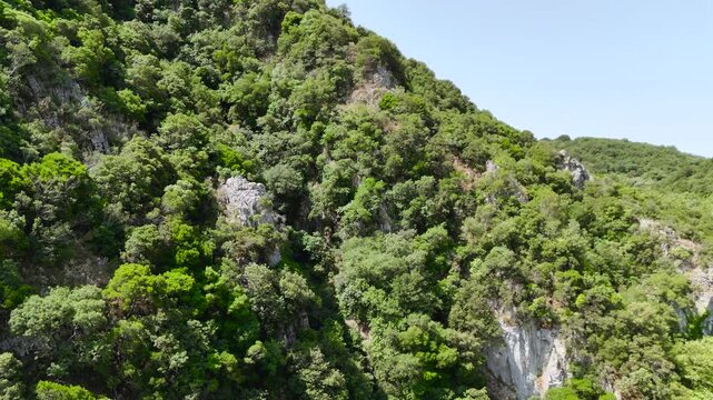 Aerial Drone View of Lush Polylimnio Canyon with Rocky Cliffs and Dense Mediterranean Forest in Peloponnese Greece