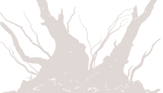 Abstract silhouette of ancient gnarled tree branches against a pale background