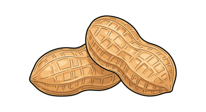 Simple and clean vector illustration of two whole peanuts in their tan fibrous shells isolated on a plain white background for food design.