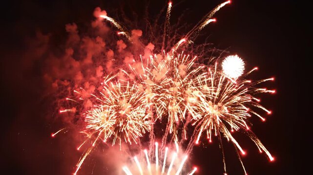 Colorful fireworks exploding in night sky symbolizing dynamic movement and artistic expression