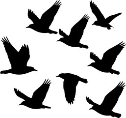 Obraz premium Modern Vector Illustration Of Multiple Birds Flying In The Sky