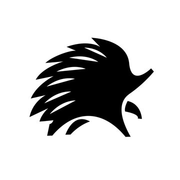 Minimalist Black Silhouette of a Hedgehog Walking Icon