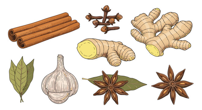 Collection of various cooking spices including cinnamon sticks cloves ginger root garlic cloves bay leaves and star anise pieces.