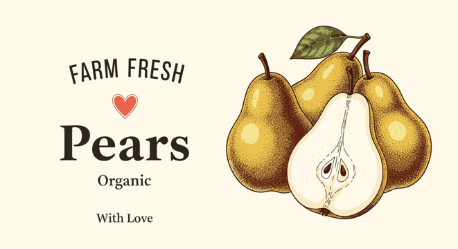 Group of ripe yellow pears with one half slice revealing seeds and core shown with farm fresh organic with love typography label.