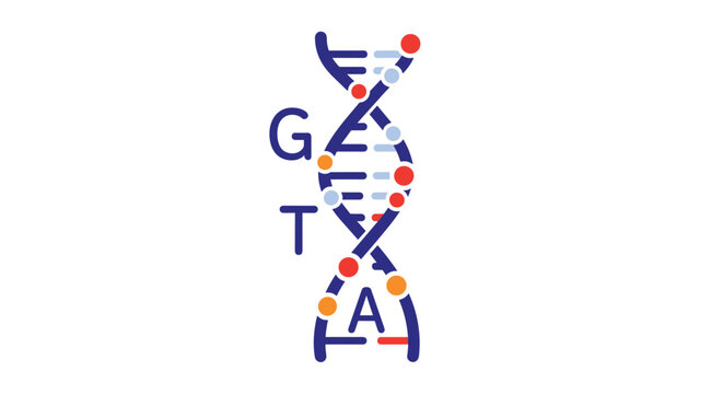 Vertical DNA double helix model with nucleotide base pairs labeled with G T and A letters for genetic sequencing concepts.