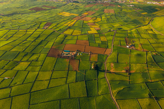 Aerial view of the patchwork of green agricultural fields and stone walls near Pico Dona Joana under golden hour light in Feteira, Acores, Portugal.