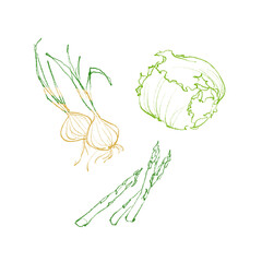 野菜の線画イラスト © kuran.
