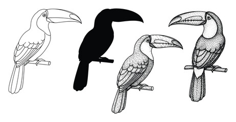 Naklejka premium Different toucan birds depicted in monochrome graphic styles including outline silhouette and detailed shading