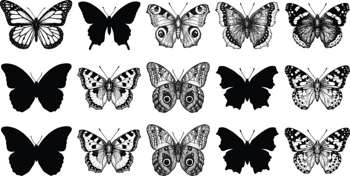Butterfly silhouette and engraved illustration collection featuring decorative insects nature wings and vintage tattoo style vector artwork