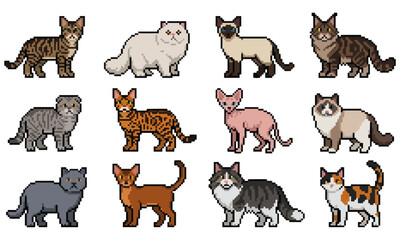 Obraz premium Collection of 12 Diverse Pixel Art Cats, Each Exhibiting Unique Breeds and Colorations, Presented in a Grid Layout for retro game design