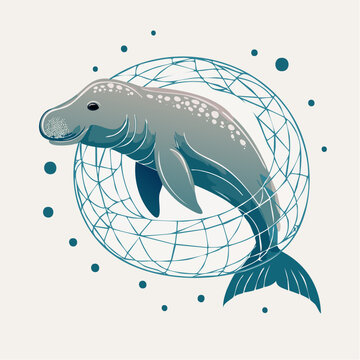 Manatee Trapped in Net