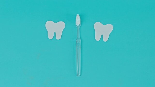 Minimalist Flat Lay Of Clear Plastic Toothbrush Placed Between Two Paper Cutouts Of Teeth On Turquoise Background