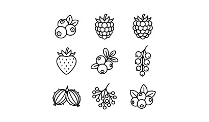 Minimalist Berry Outline Icon Collection with Blueberry Raspberry and Blackberry Vector Illustrations © MdShojib