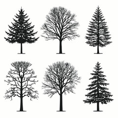 Obraz premium six tree silhouettes various types black and white vector illustration