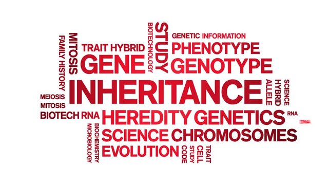 inheritance animated word cloud-text design animation tag kinetic typography seamless loop.