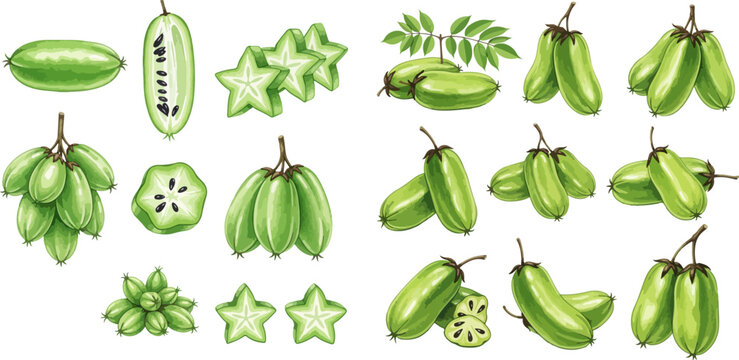 Set of fresh green bilimbi fruits, whole and sliced, with leaves, on a white background, isolated.
