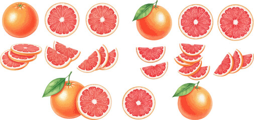 Naklejka premium Fresh Grapefruit Collection: Whole Fruits, Slices, and Wedges with Green Leaves on White Background.