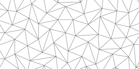black vector poly triangle texture. clean and modern science chemical theme background. Abstract geometric pattern composed of triangular. white black vector triangle mosaic wallpaper , vector. © Splashes