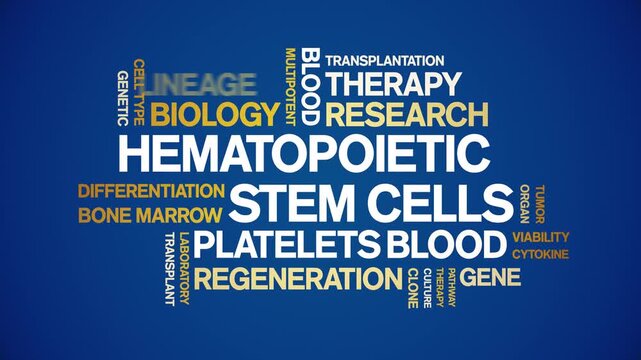 Hematopoietic Stem Cells animated word cloud-text design animation tag kinetic typography seamless loop.
