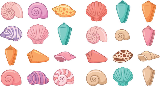 Colorful seashell vector illustration set featuring various sea shells, conches, and scallops for summer beach vacation and ocean marine life design elements
