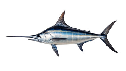Naklejka premium A fresh swordfish with a silver fin is isolated on a white background