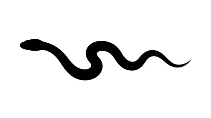 Fototapeta premium Black Snake Silhouette on White Background.