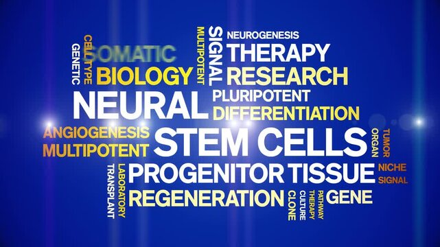Neural Stem Cells animated word cloud-text design animation tag kinetic typography seamless loop.