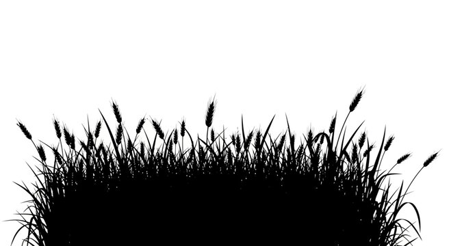 Black wheat and grass field silhouette for agriculture design