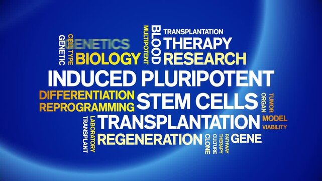 induced Pluripotent Stem Cells animated word cloud-text design animation tag kinetic typography seamless loop.
