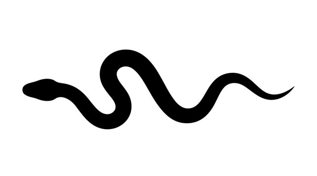 Silhouette of a coiled snake on a white background.