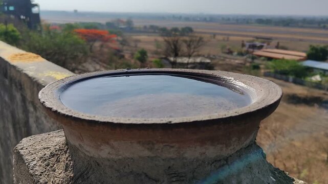 Water Pot for Birds Overlooking the Indore Cityscape