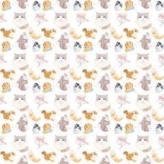 Fototapeta premium Transparent Bg Pattern Cat
